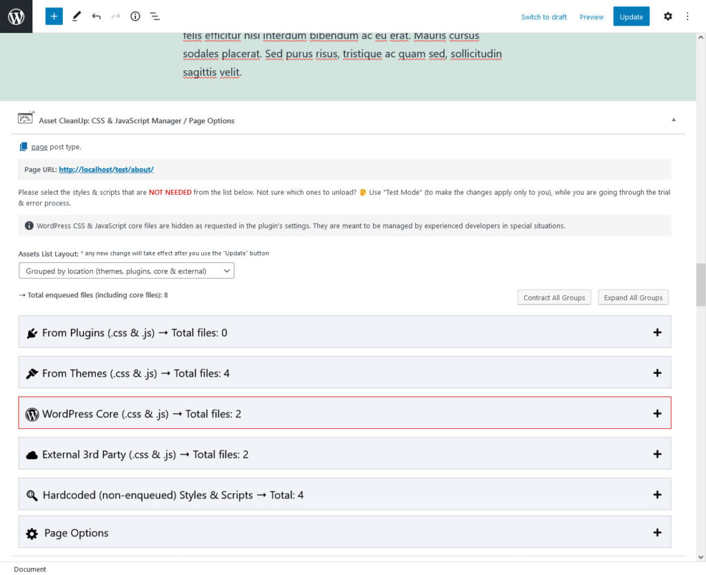 Reduced unused JavaScript and CSS: asset cleanup options in wordpress editor