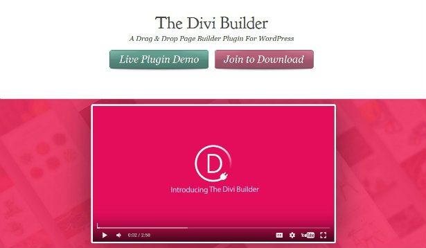 Divi Builder