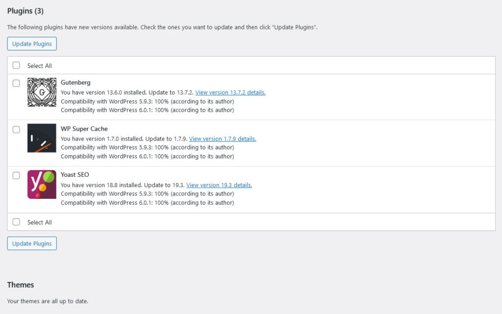 plugin and theme updates in wordpress update menu