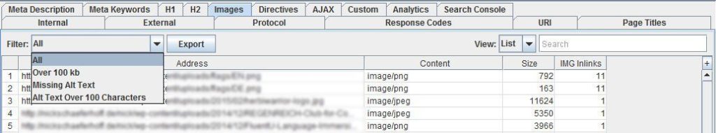 screaming frog image seo audit