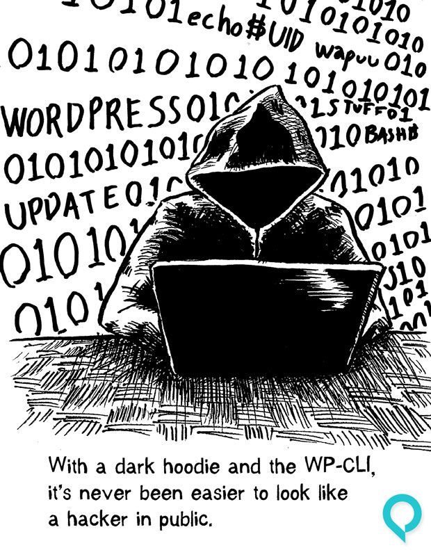 wp-cli is among the most essential wordpress developer skills