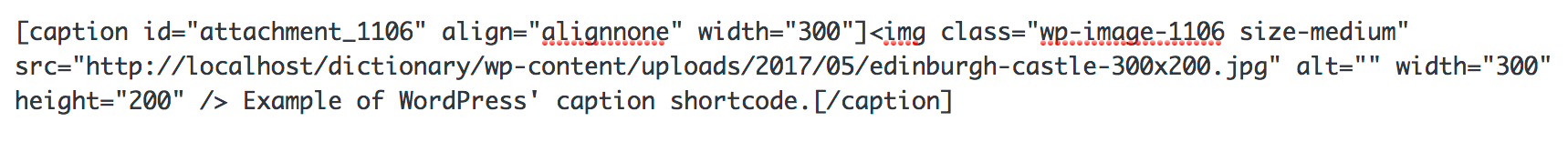 WordPress caption shortcode input