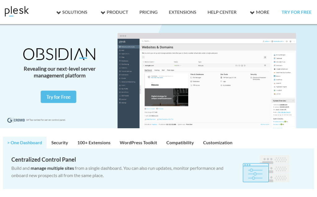 The Plesk web hosting control panel.