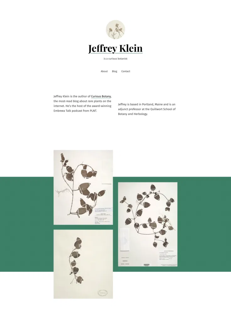 seedlet theme design