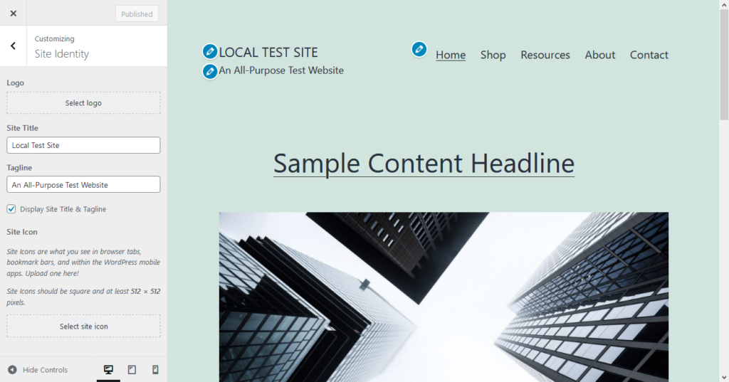 twenty twenty one the customization option review: site identity settings