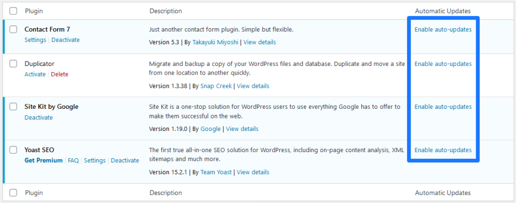 wordpress automatic updates option in plugins menu